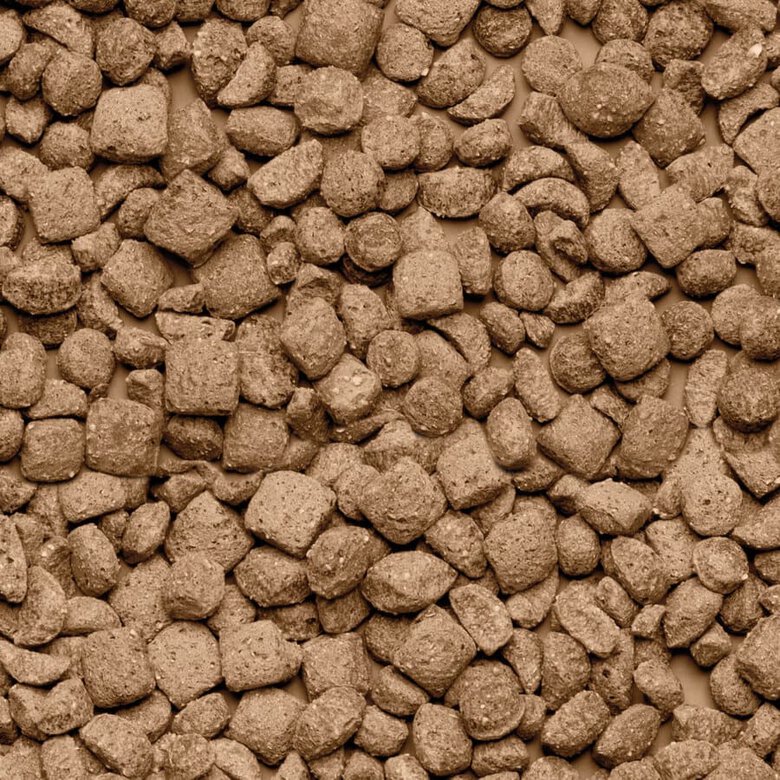 Beaphar Care+ Pienso para ratas, , large image number null